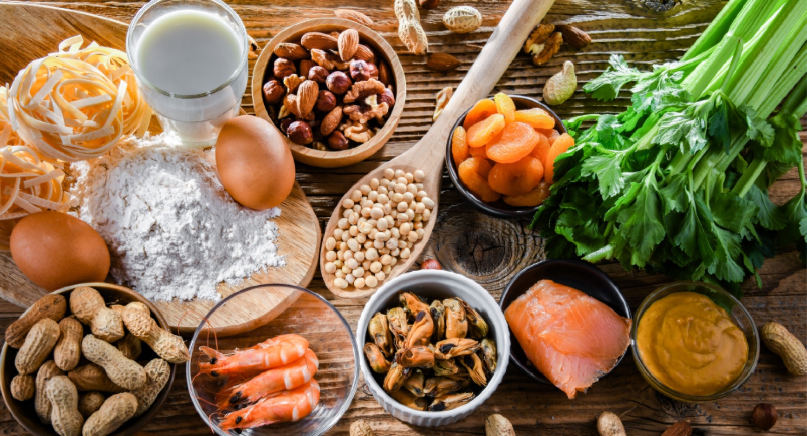 Common food allergen sources representing resource topics in allergy care.