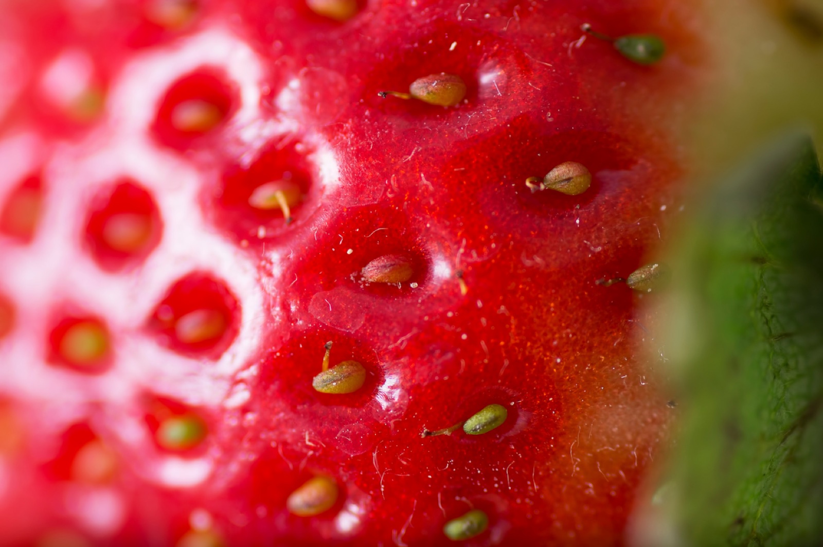 Macro food image representing cross-reactivity and component interpretation.