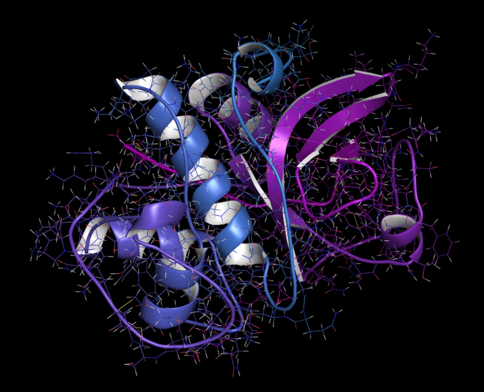 Protein structure visualisation representing the molecular layer of allergy care.