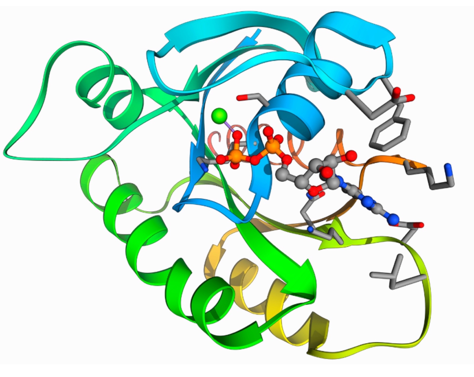 Protein structure visualisation for component-resolved diagnostics.